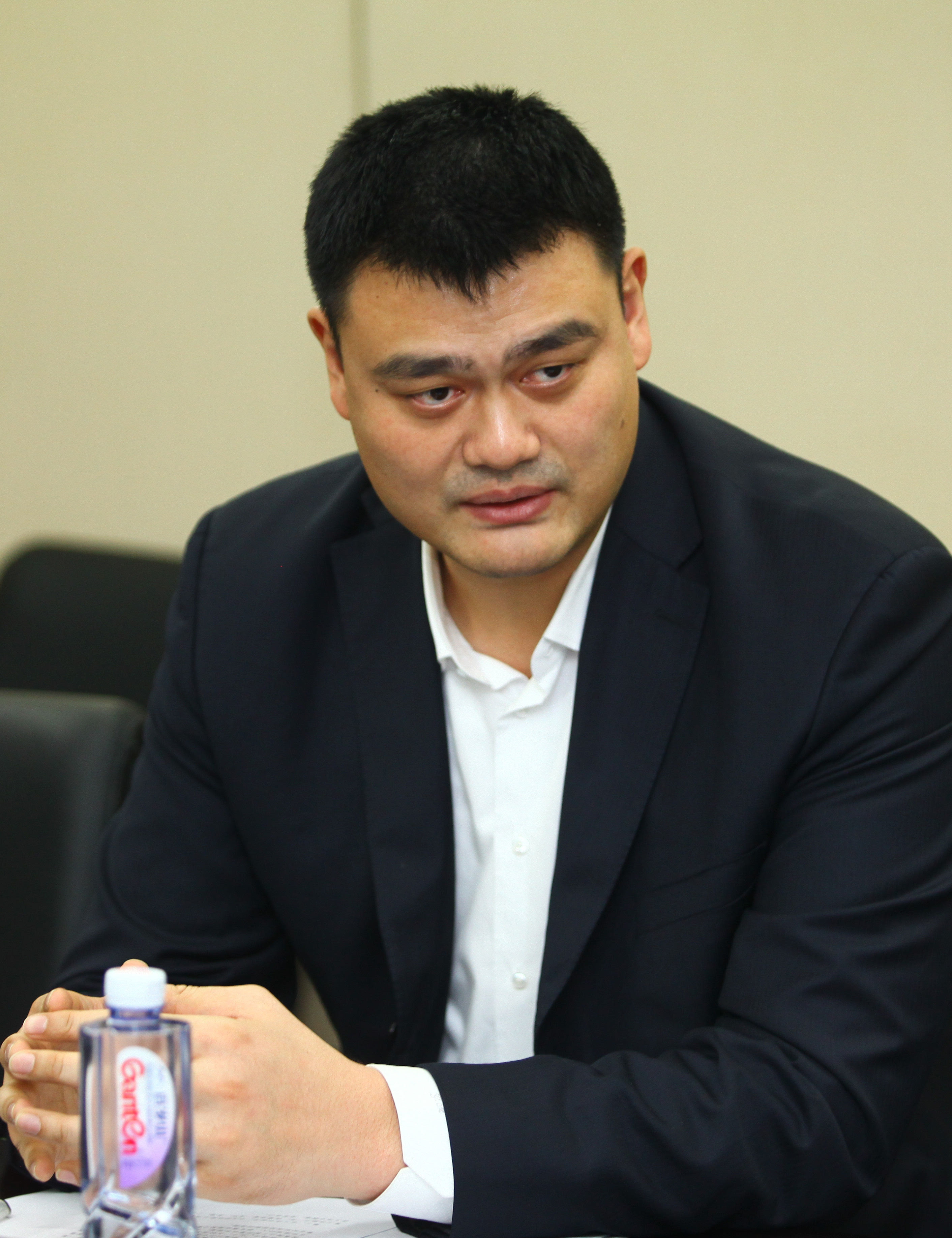 动的兴起