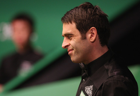 的多种产品 的多种产品